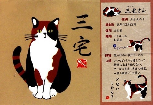 ループ状のもこもこ刺繍：ポコポコマチ付ポーチ　内ポケット付き　みやけさんNT 画像