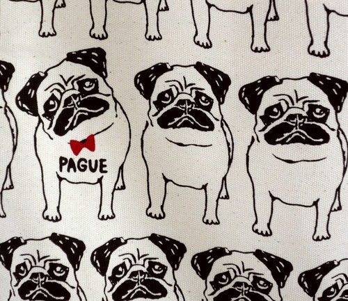 A4サイズのトートバッグ 内ポケット付き ミツケテパグー NA 画像