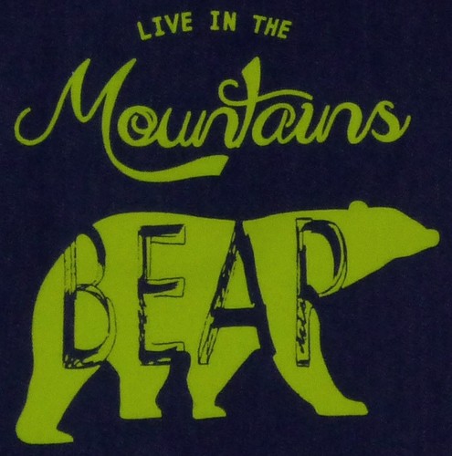 スナップ付A4トートバッグ 内ポケット付き マウンテンNV 画像