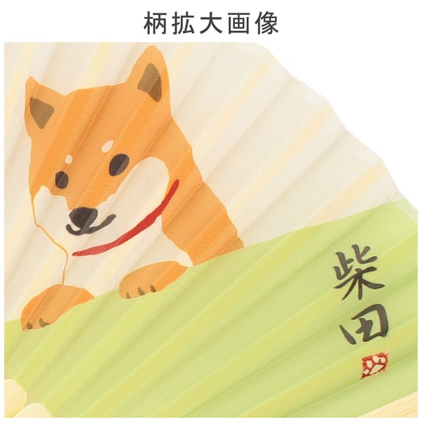 扇子 せんす ラーメンですか 柴犬 ラーメン ライトグリーン 21cm 画像