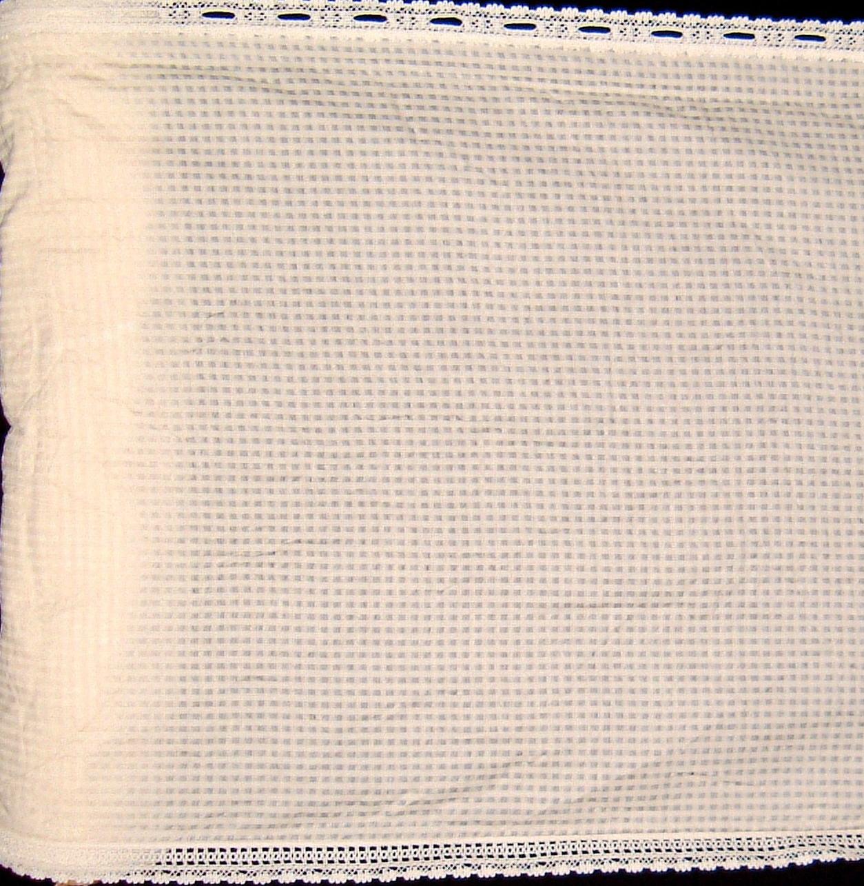 カフェロール　プレーンシンプル 全体画像