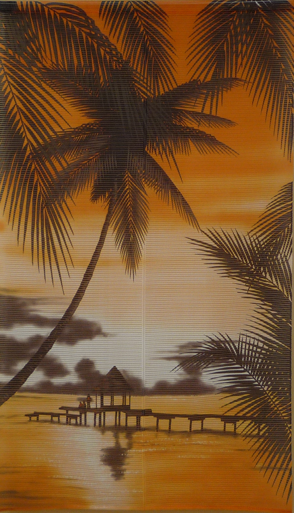 ジャワオレンジ 全体画像