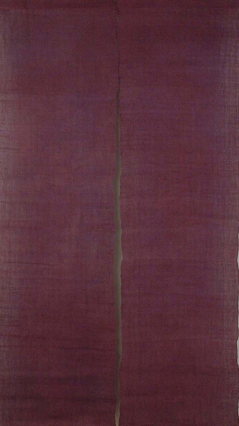 麻のれん　ラズベリー 全体画像