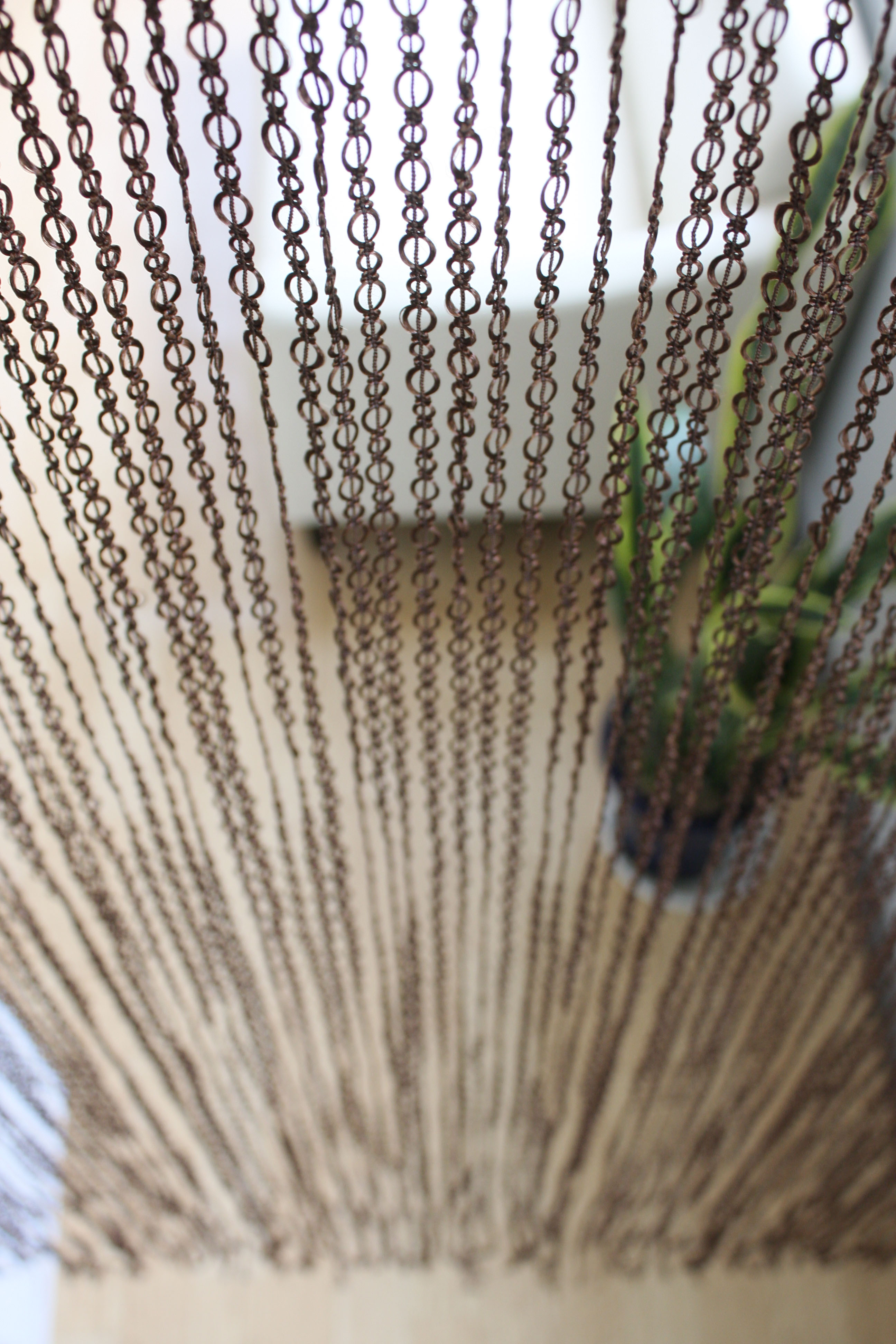 リングひもスクリーン 画像