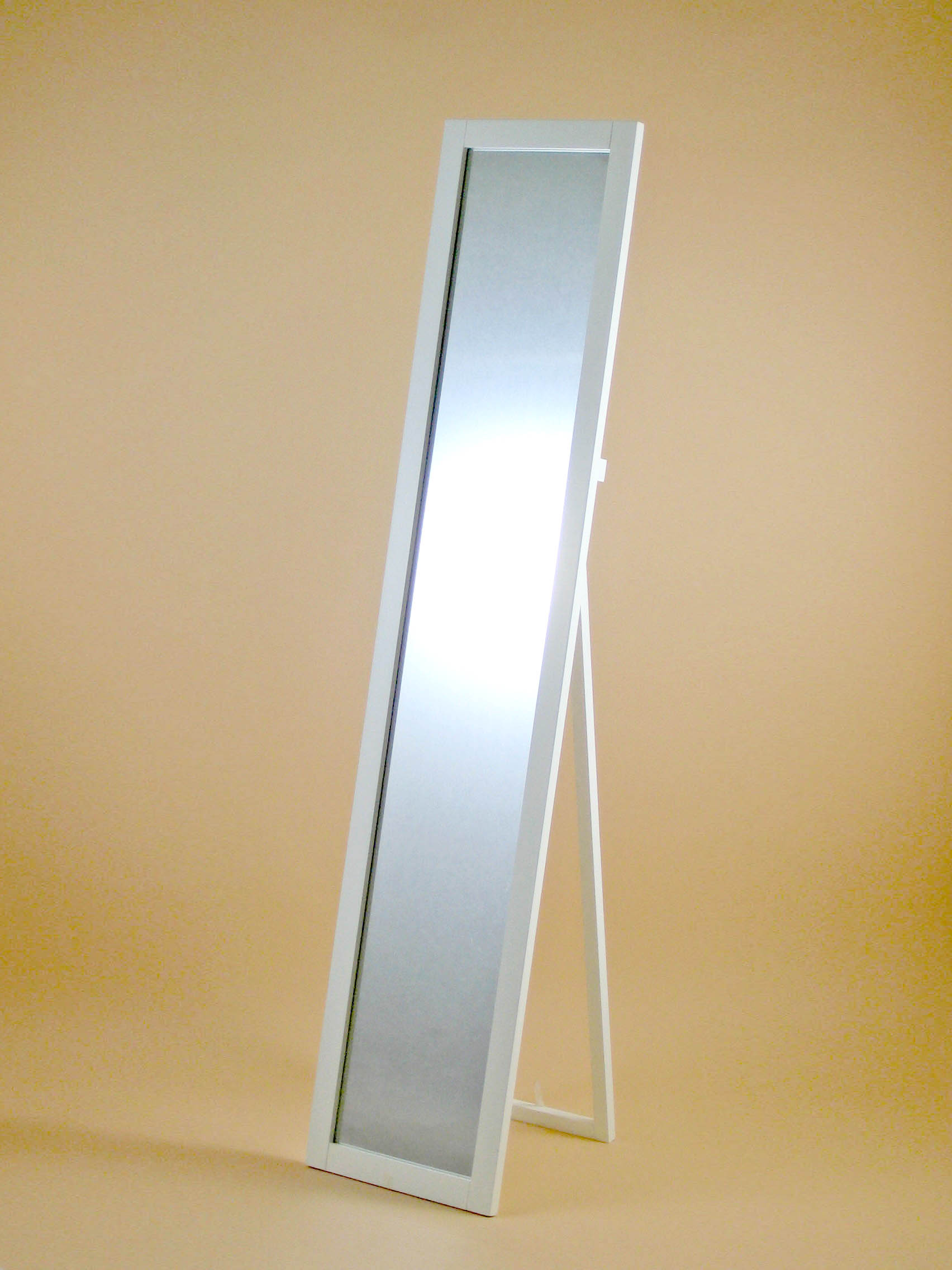 スタンドミラー 全体画像